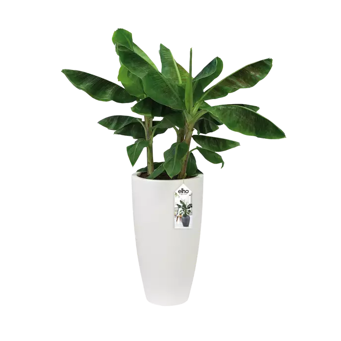 Pot Elho Pure soft High