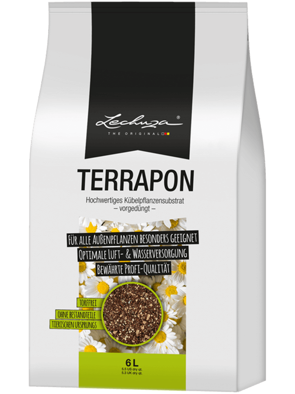 Terrapon Lechuza