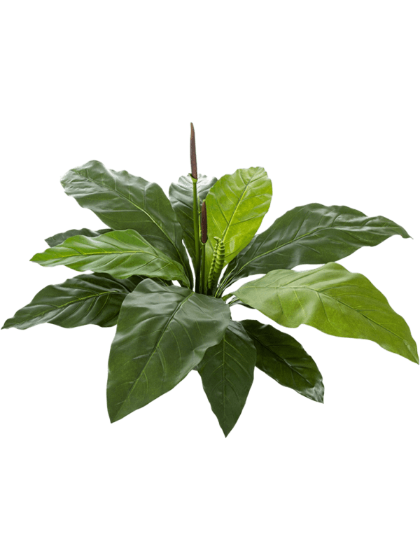 Anthurium jungle artificiel
